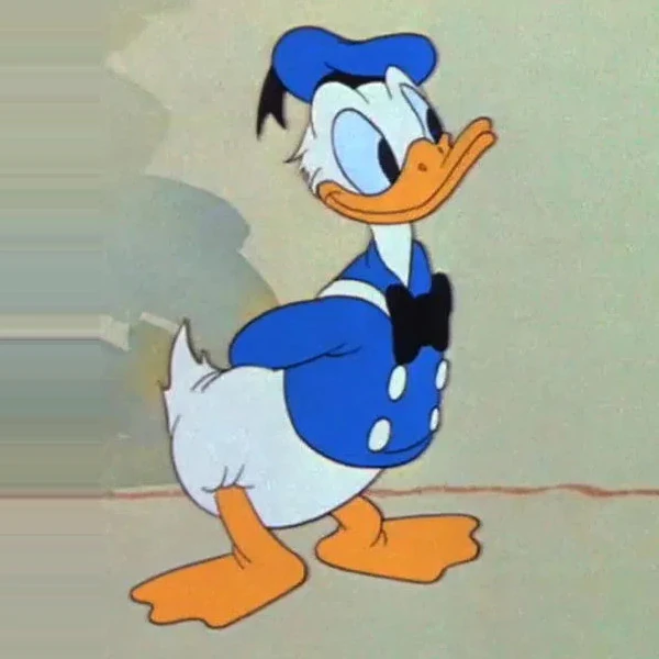 Photo de profil de Alexandre Kerff